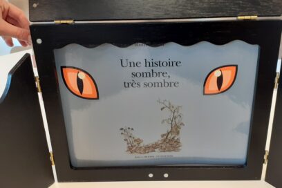 Agrandir l'image, fenêtre modale