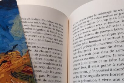 Agrandir l'image, fenêtre modale