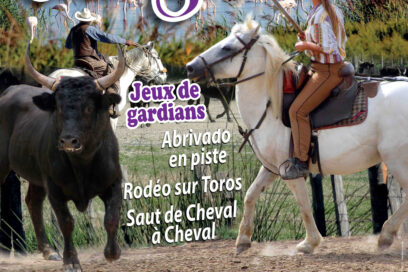 Ribera Organisation - Agrandir l'image, fenêtre modale