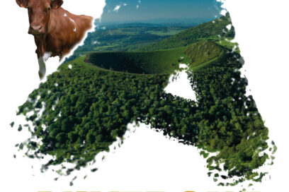 altair - Agrandir l'image, fenêtre modale