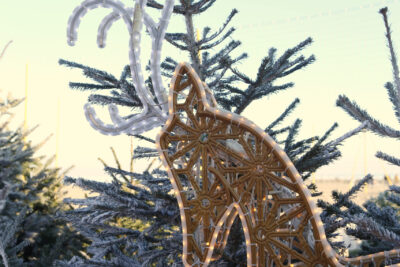 Agrandir l'image 1 sur 2, fenêtre modale